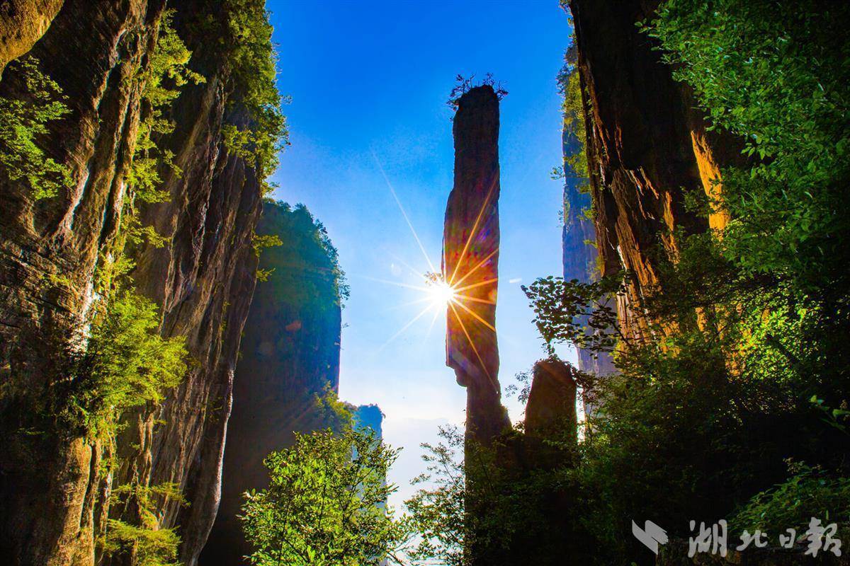 智胜平台登录